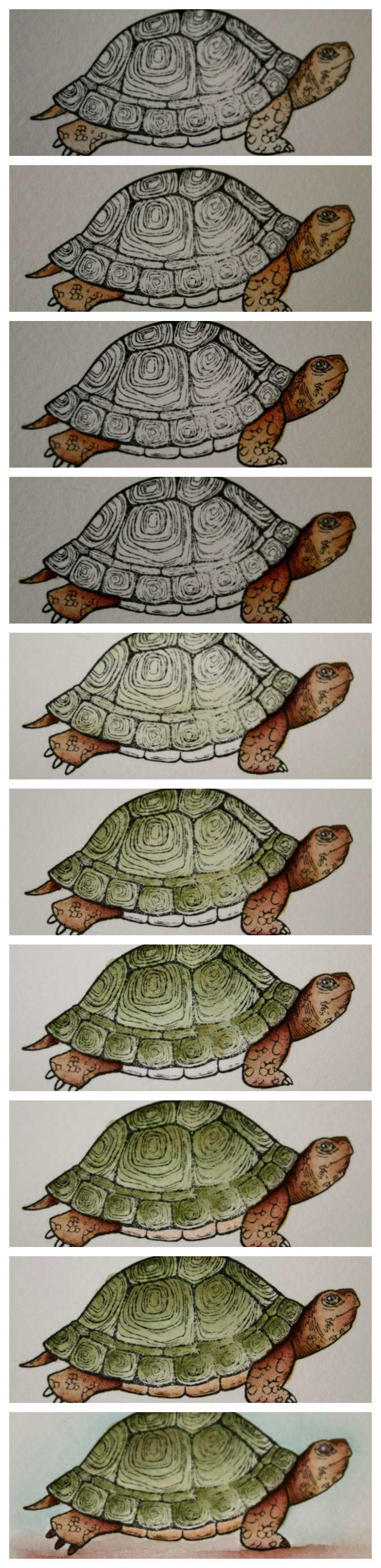 Watercoloured-Turtle