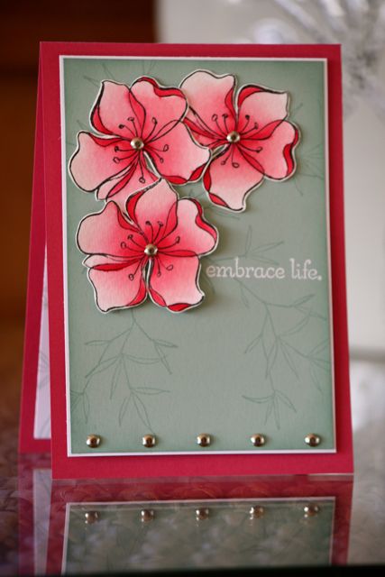 IMG_3446 IMG_3446