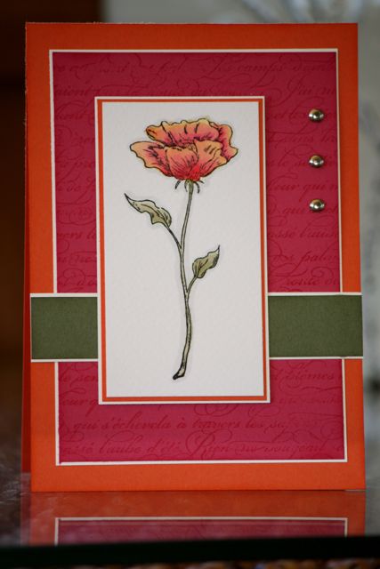 IMG_3554 IMG_3554