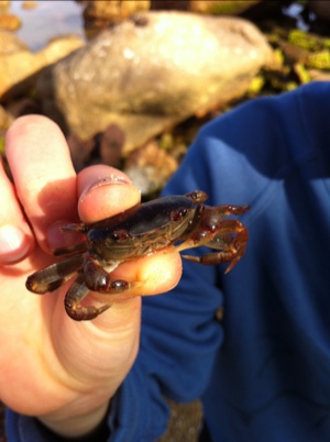 20120826-190649.jpg