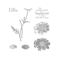 Field Flowers