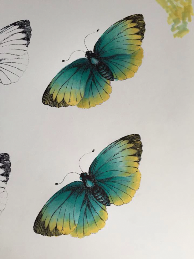 Butterfly