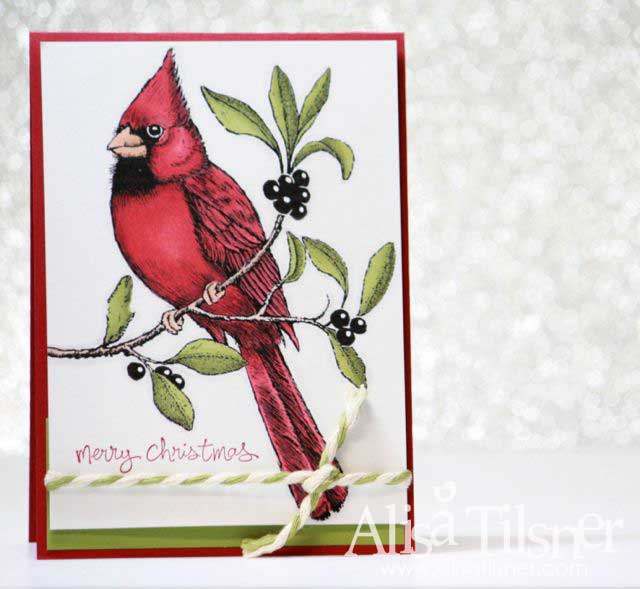 A Christmas Cardinal
