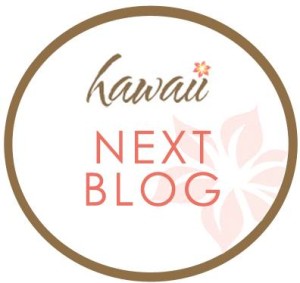 Hawaii-Next-e1428966189222
