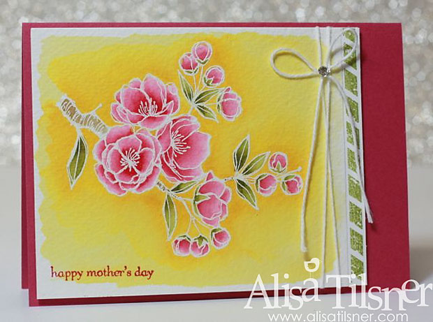 stampin up indescribable gift