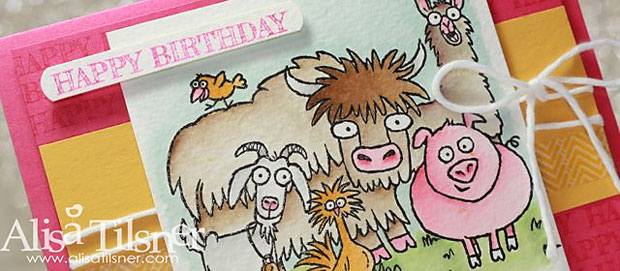 Stampin Up From the Herd