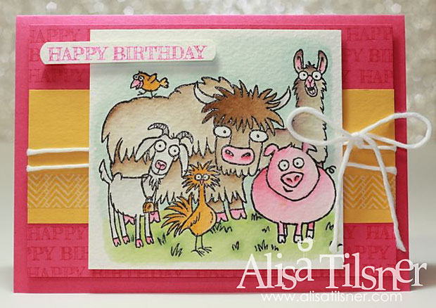 Stampin Up From the Herd
