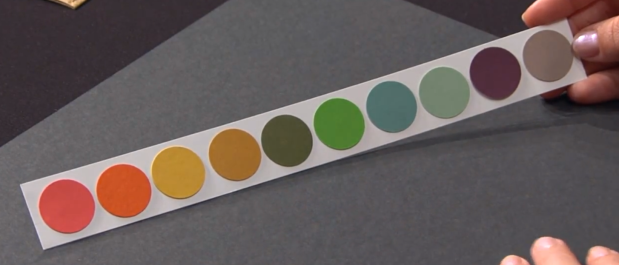 New Stampin Up Incolors 2015 - 2017