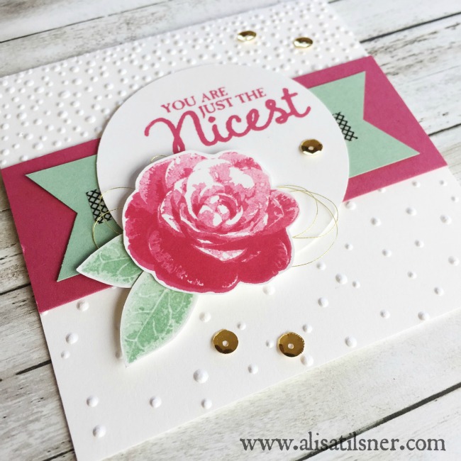 Stampin Up Picture Perfect