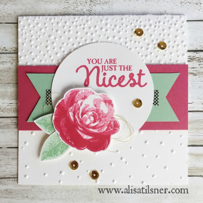 Stampin Up Picture Perfect