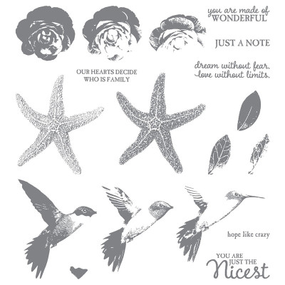 Stampin Up Picture Perfect
