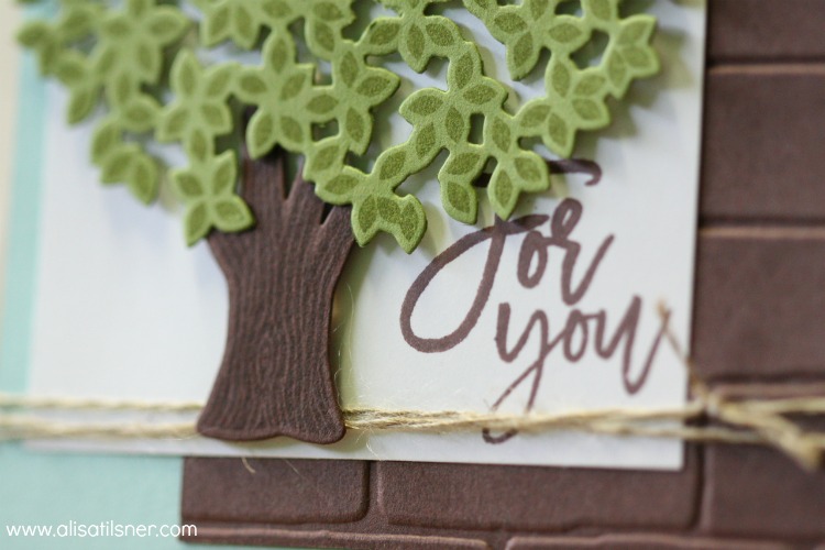 Stampin' Up! Thoughtful Branches