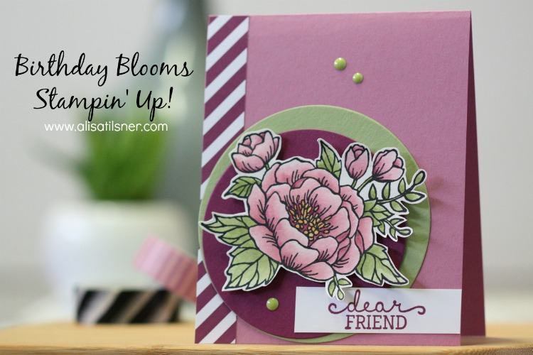 Stampin' Up! Birthday Blooms