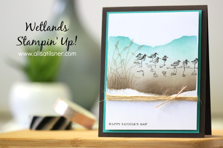 Stampin Up Wetlands