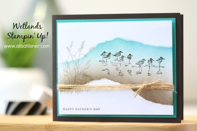 Stampin Up Wetlands