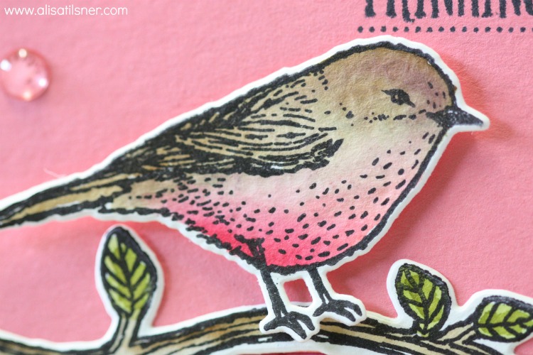 Stampin' Up! Best Birds
