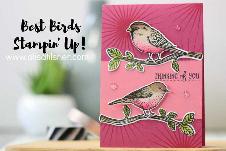 Stampin' Up! Best Birds