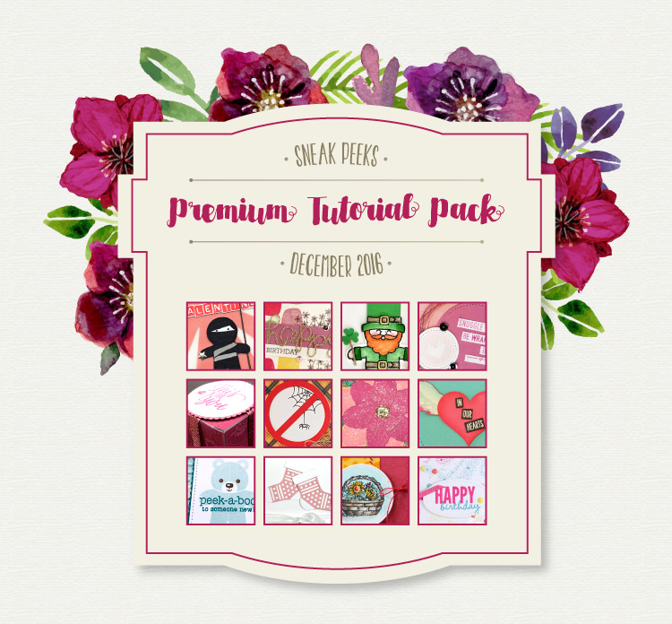 Premium Tutorial Pack