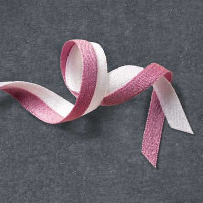 Succulent Garden Ribbon