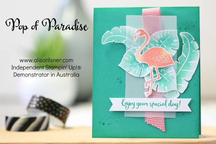 Stampin Up Pop of Paradise