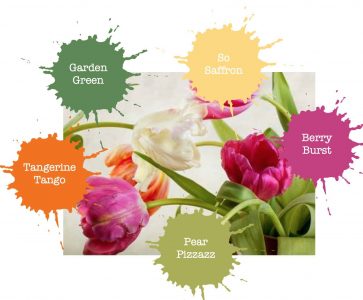 CYW Palette