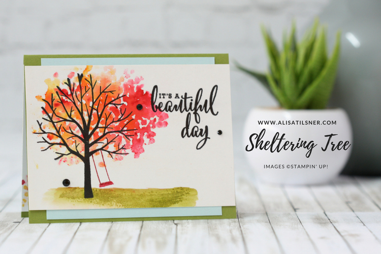 Sheltering Tree
