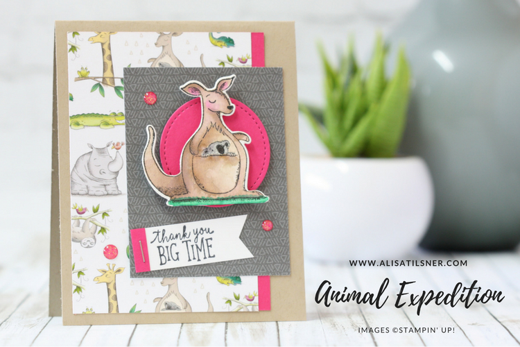 Animal Expedition