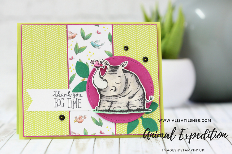 Animal Expedition