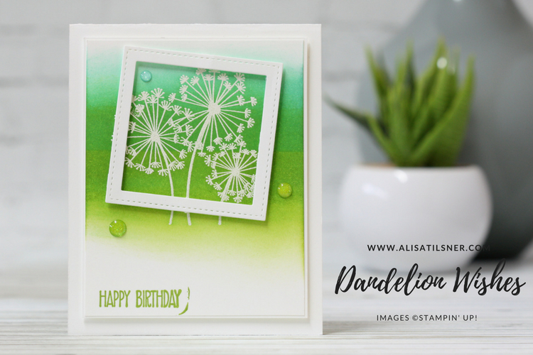 Dandelion Wishes