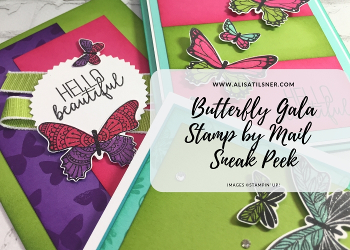 Butterfly Gala Stamp by Mail Sneak Peek at Projects