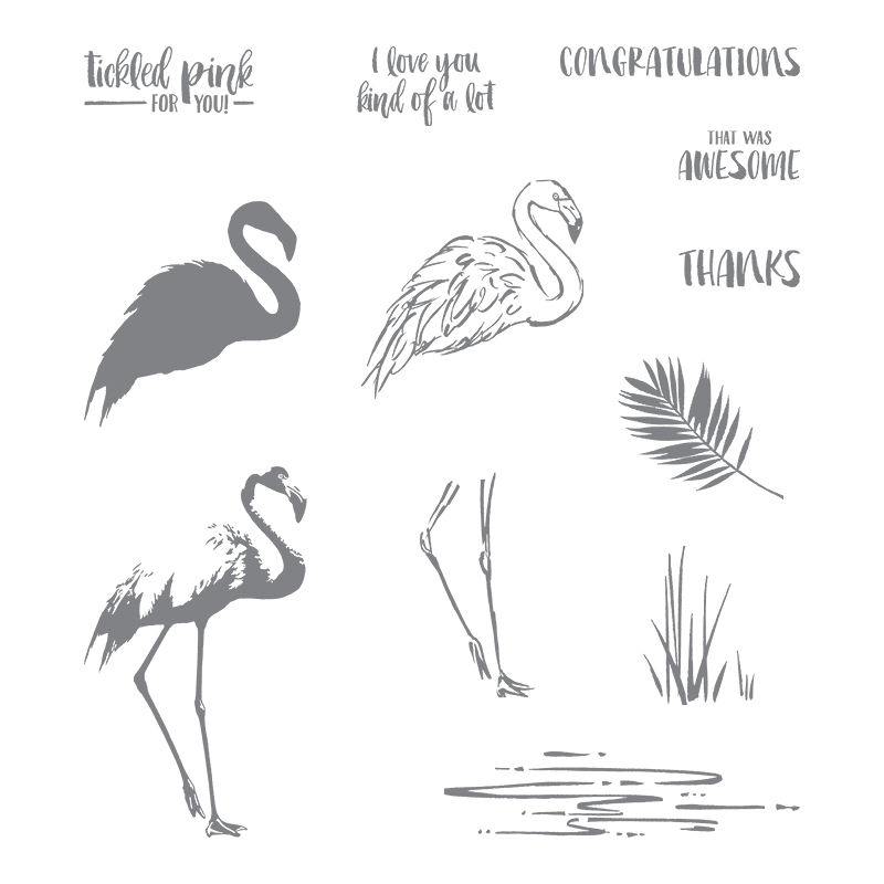 Fabulous Flamingo