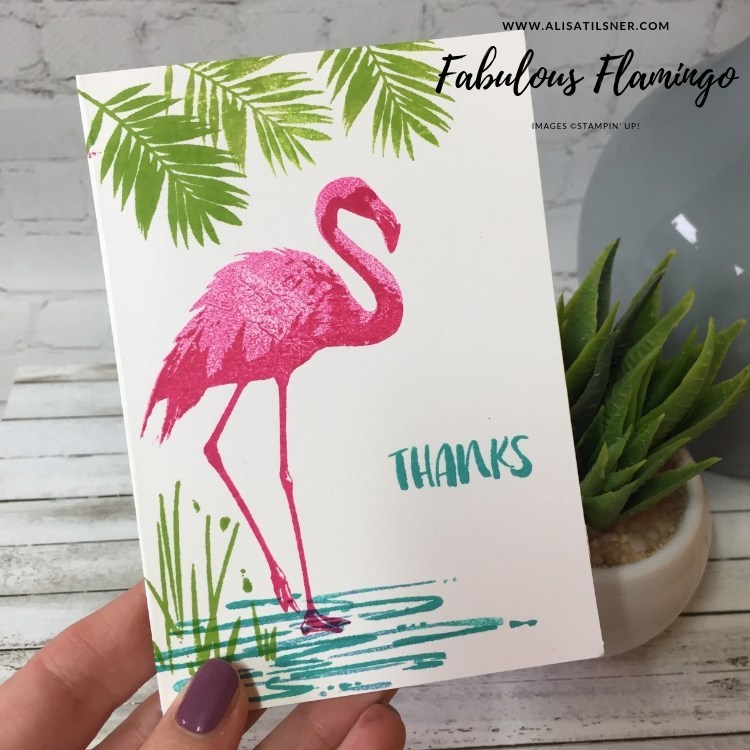 Fabulous Flamingo