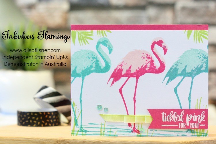 Fabulous Flamingo
