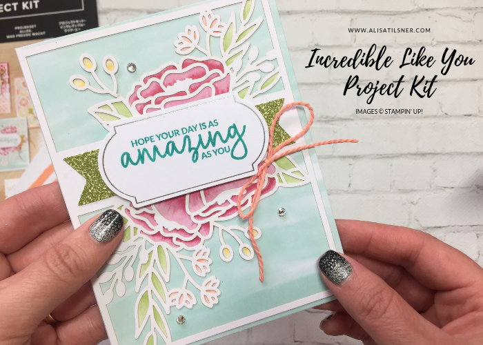 Incredible Like You Project Kit