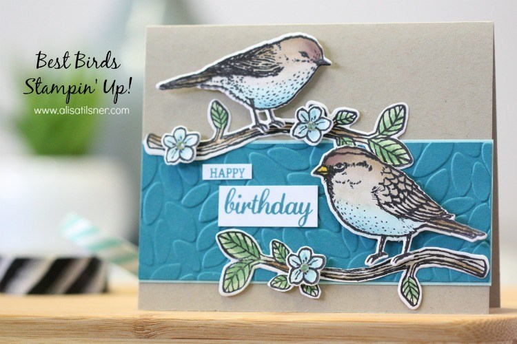 Best Birds