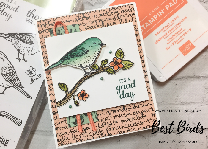Stampin’ Up! Best Birds is Retiring
