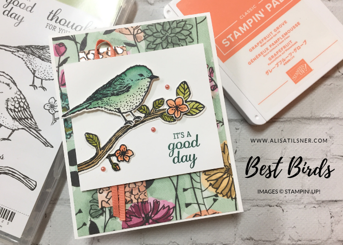Stampin' Up! Best Birds