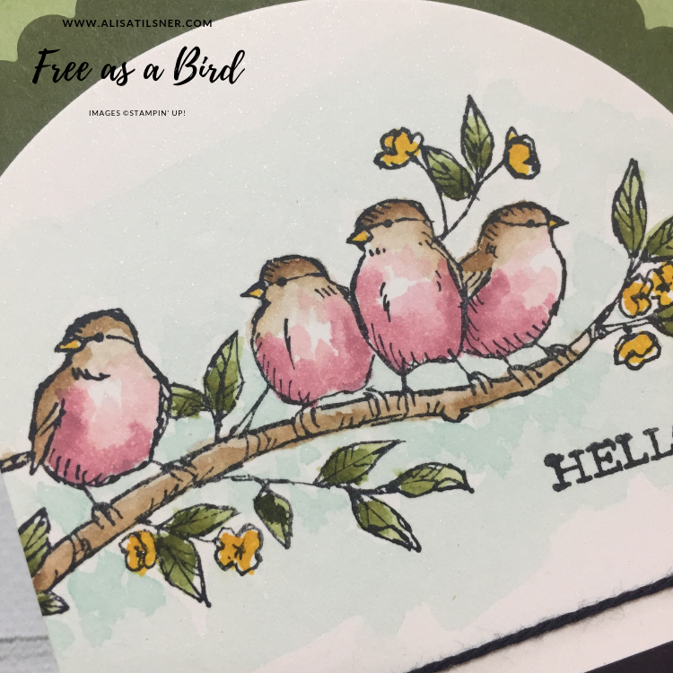 Free as a Bird Remade!