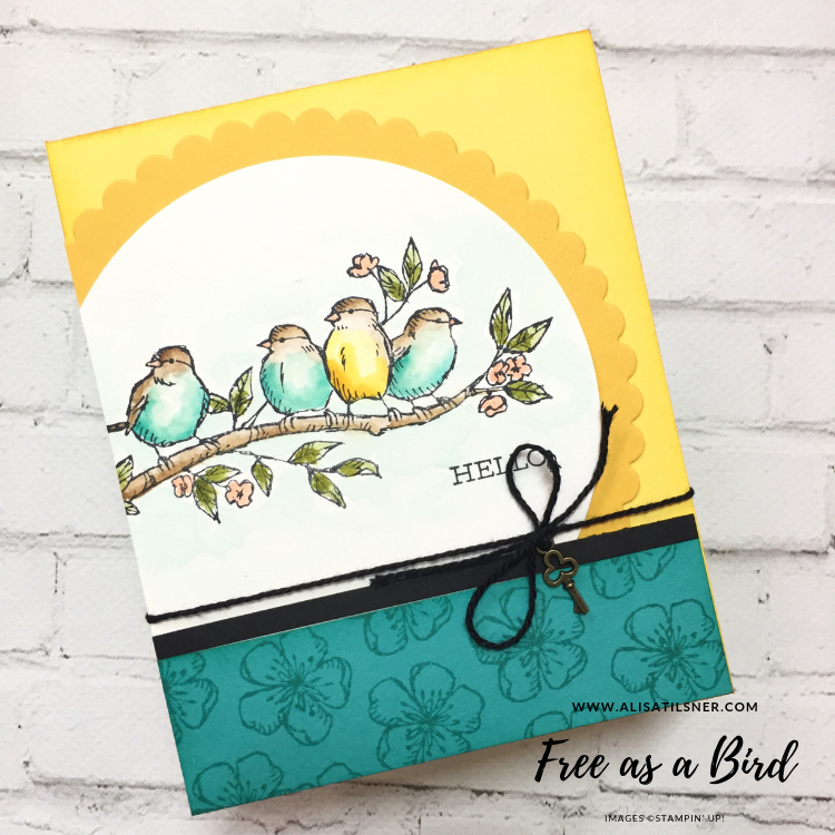 Free as a Bird