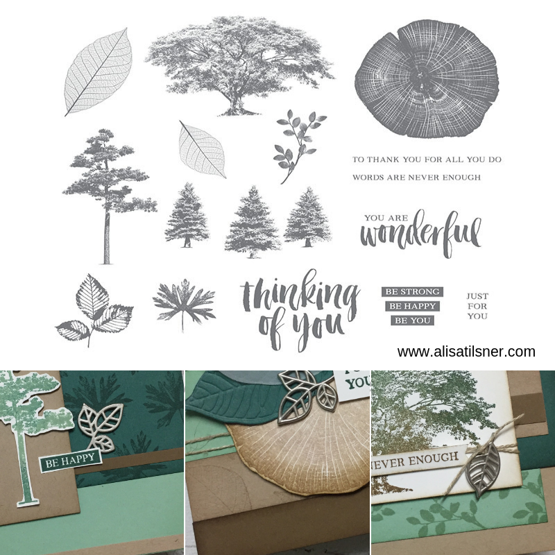 Rooted in Nature Class