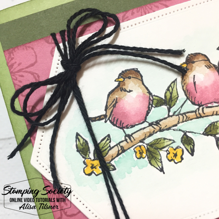 Free as a Bird Stamp Set.