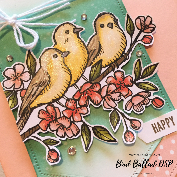 Bird Ballad DSP