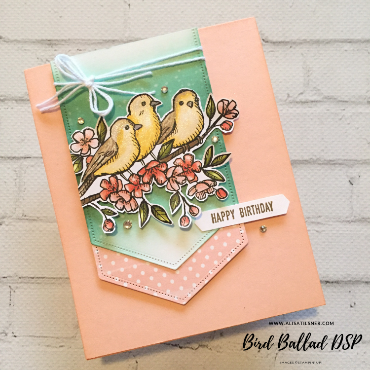 Bird Ballad DSP