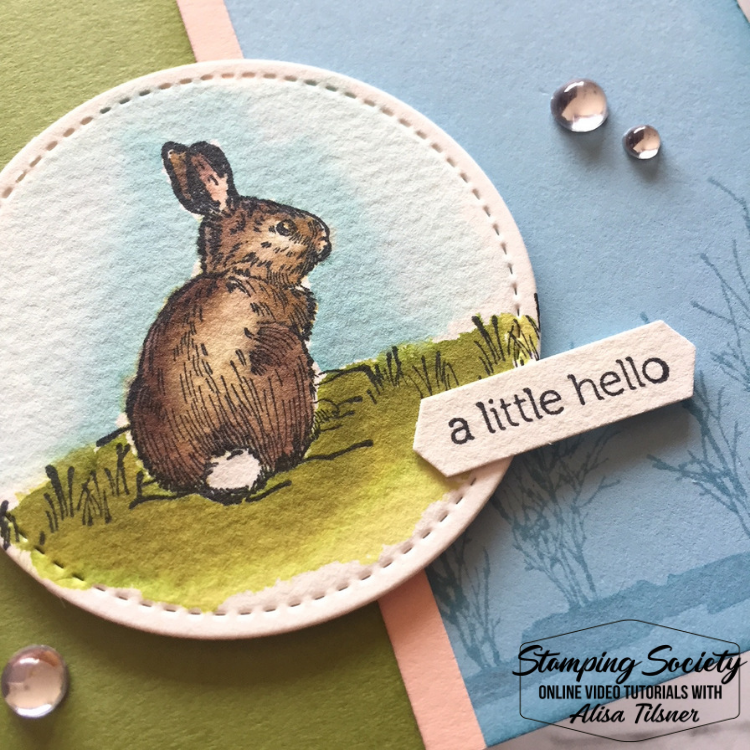 Stampin' Up! Nature's Beauty
