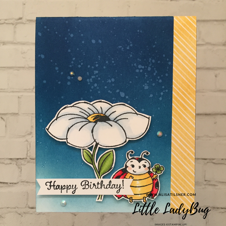 Little Ladybug – Exclusive Host Set