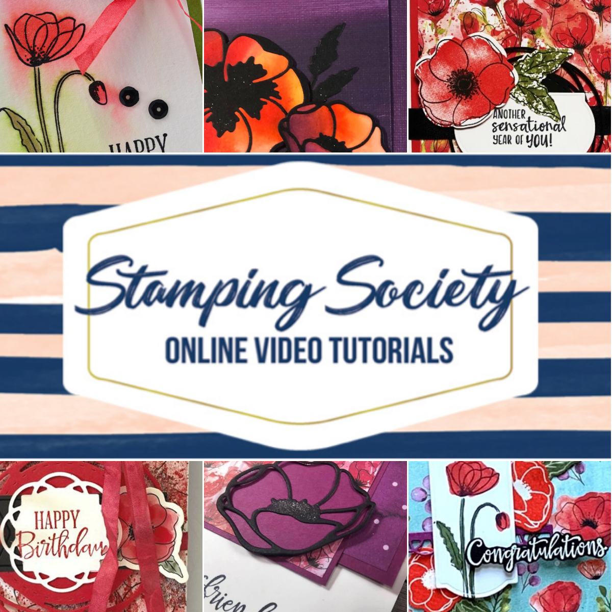 Stamping Society Online Video Class featuring Peaceful Poppies Suite