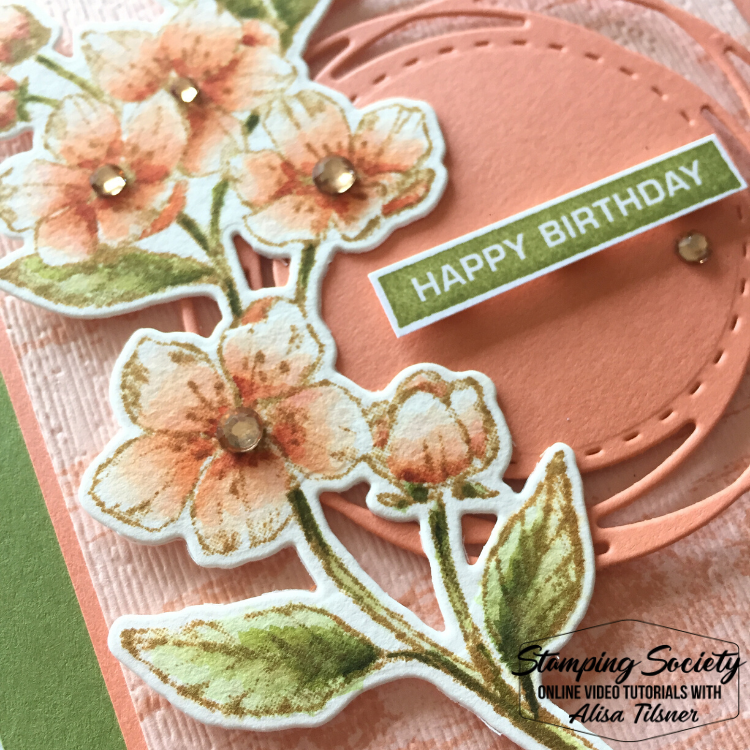 Stamping Society Blog Hop and FREE Class!!