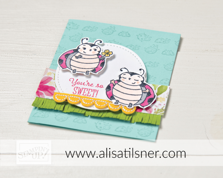 Win a Little Ladybug Stamp Set