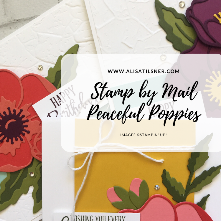 Peaceful Poppies Stamp by Mail Closing soon!