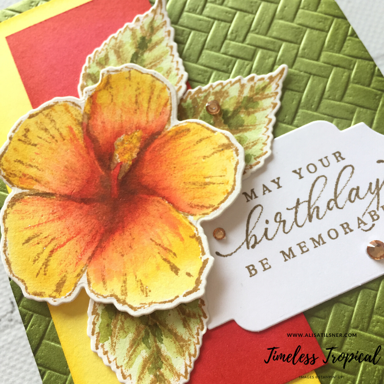 Timeless Tropical Card